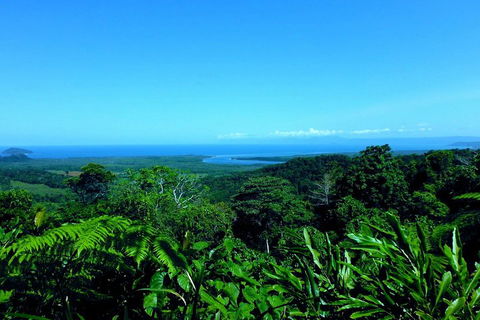 Cape Tribulation, Mossman Gorge, And Daintree Rainforest Premium Day Tour - Kalgoorlie Accommodation 5