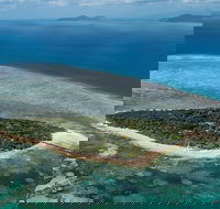 4-Day Cairns with Great Barrier Reef and Daintree Rainforest - Kalgoorlie Accommodation