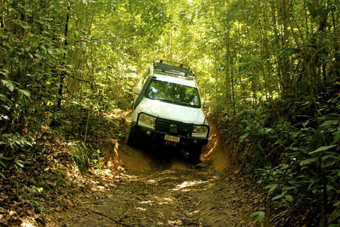 Cairns National Park Rainforest And Waterfall Small Group Tour Shore Excursion - Kalgoorlie Accommodation 0