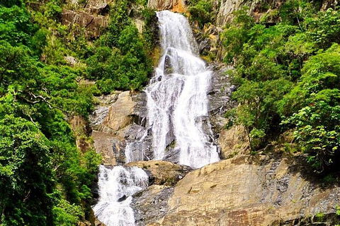 Cairns National Park Rainforest And Waterfall Small Group Tour Shore Excursion - Kalgoorlie Accommodation 4