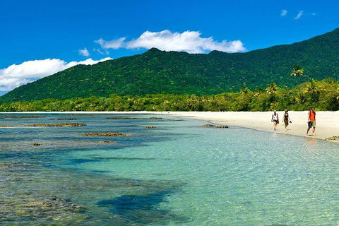 Private Daintree National Park Day Tour From Cairns Including Cape Tribulation And Mossman Gorge - Kalgoorlie Accommodation 0