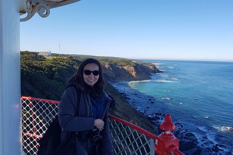 Great Ocean Road Full Day Private Experience - Kalgoorlie Accommodation 1