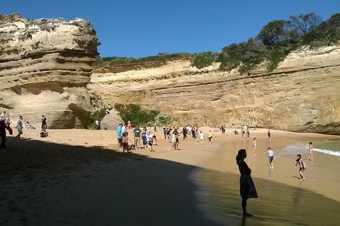 Great Ocean Road Full Day Private Experience - Kalgoorlie Accommodation 3