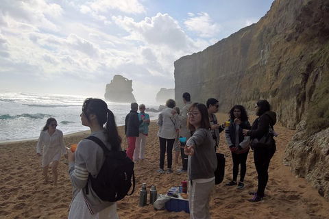 Great Ocean Road Full Day Private Experience - Kalgoorlie Accommodation 4