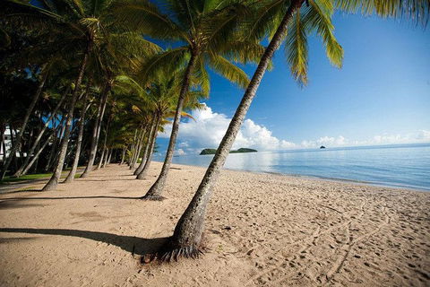Kuranda Day Trip From Port Douglas Upgrade To Skyrail & Scenic Train Available - Kalgoorlie Accommodation 1