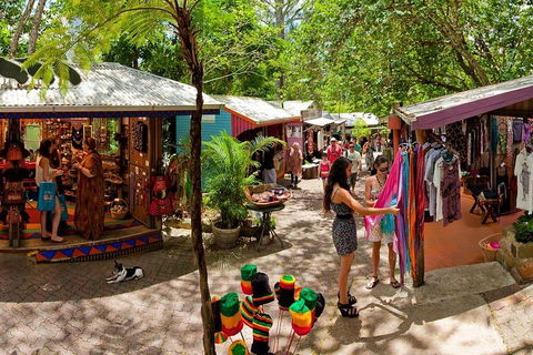 Kuranda Day Trip From Port Douglas Upgrade To Skyrail & Scenic Train Available - Kalgoorlie Accommodation 2