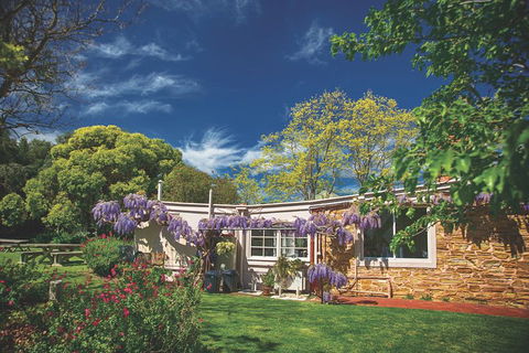 McLaren Vale Winery Small Group Tour With Wine Tasting And Lunch - Kalgoorlie Accommodation 2