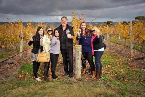 McLaren Vale Winery Small Group Tour With Wine Tasting And Lunch - Kalgoorlie Accommodation 3