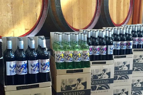 Mclaren Vale Luxury Full Day Small Group Wine Tour - Kalgoorlie Accommodation 0