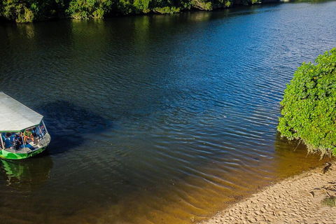 Afternoon Half-Day Daintree Rainforest And River Tour - Kalgoorlie Accommodation 3