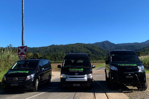 Afternoon Half-Day Daintree Rainforest And River Tour - Kalgoorlie Accommodation 4