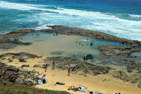 Pippies 3 Days 2 Nights Fraser Island Tour - Kalgoorlie Accommodation 5