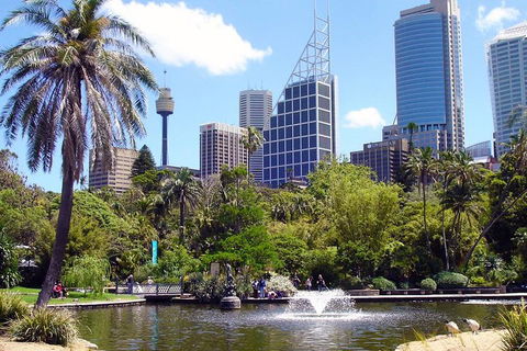 Private Sydney Half Day Tour Including Sydney Opera House And Bondi Beach - Kalgoorlie Accommodation 4