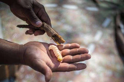 Karrke Aboriginal Cultural Experience - Kalgoorlie Accommodation 3
