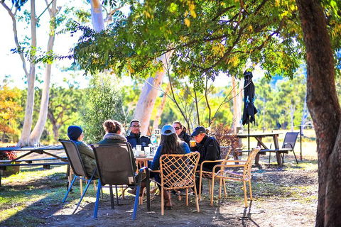 Private Blue Mountains And Winery Day-Trip From Sydney - Kalgoorlie Accommodation 1