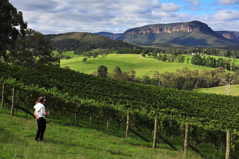 Private Blue Mountains And Winery Day-Trip From Sydney - Kalgoorlie Accommodation 2