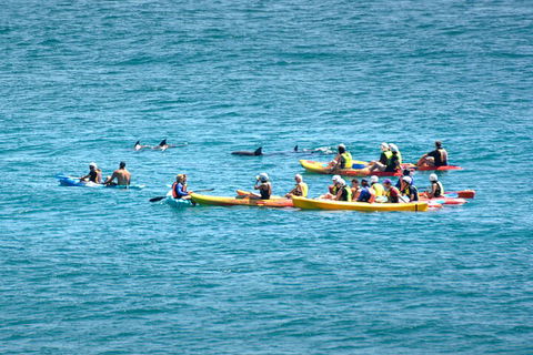The Byron Bay Sea Kayak Tour - Kalgoorlie Accommodation 1