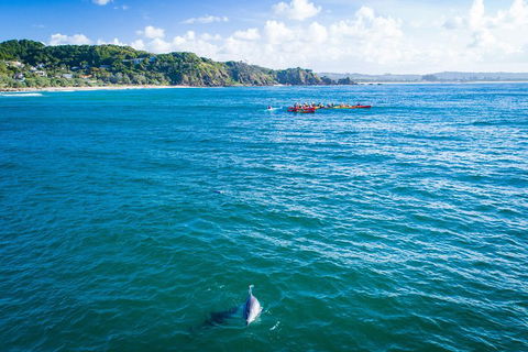 The Byron Bay Sea Kayak Tour - Kalgoorlie Accommodation 2