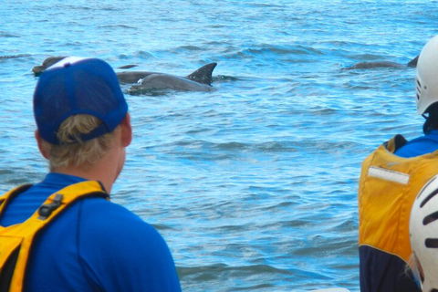 The Byron Bay Sea Kayak Tour - Kalgoorlie Accommodation 4