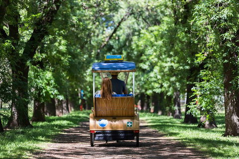 Adelaide 90-Minute Pedicab Tour: Scenic Green & River Experience - Kalgoorlie Accommodation 2