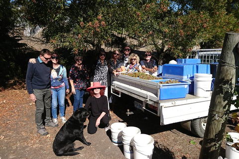 Valleys Of Vino Tour - Kalgoorlie Accommodation 1