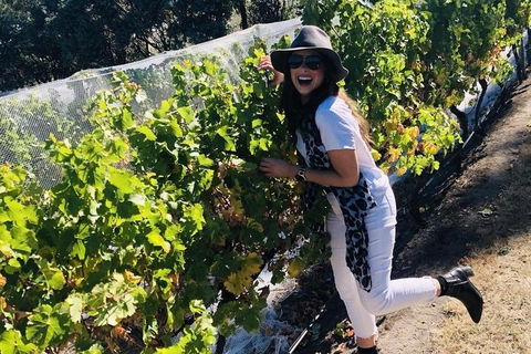 Valleys Of Vino Tour - Kalgoorlie Accommodation 3