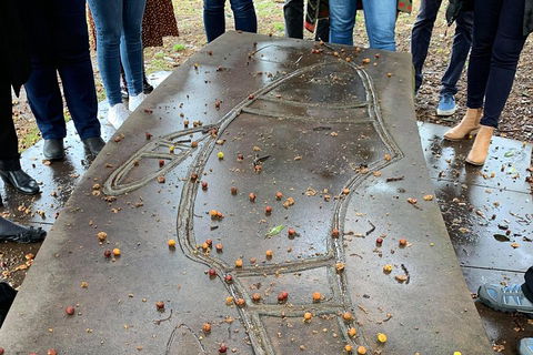 Illi-Langi The Rocks Aboriginal Dreaming Tour - Kalgoorlie Accommodation 4