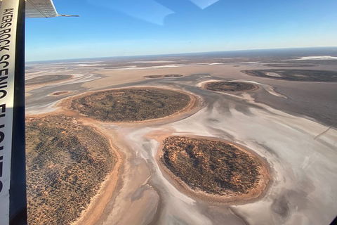 Scenic Flight: Lizard Safari - Kalgoorlie Accommodation 1