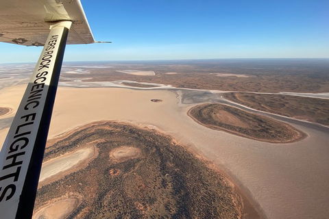 Scenic Flight: Lizard Safari - Kalgoorlie Accommodation 3