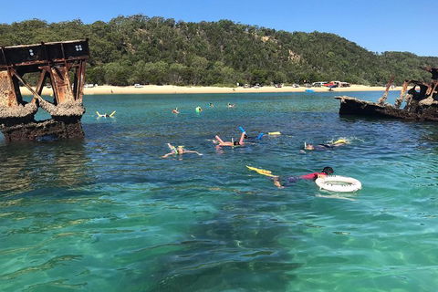 All Inclusive Dolphin And Tangalooma Wrecks Cruise - Kalgoorlie Accommodation 0