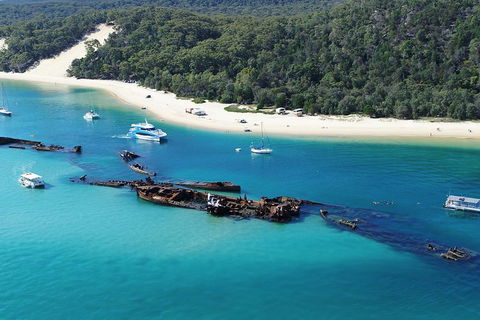 All Inclusive Dolphin And Tangalooma Wrecks Cruise - Kalgoorlie Accommodation 4