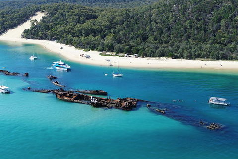 All Inclusive Tangalooma Wrecks Cruise Tour From Gold Coast - Kalgoorlie Accommodation 0