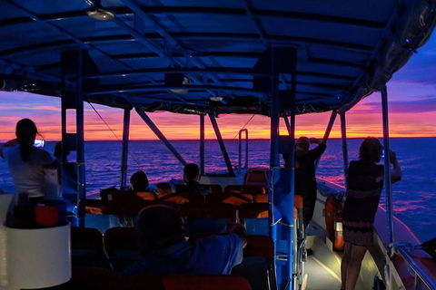 Darwin Sunset Cruise Including Fish 'n' Chips - Kalgoorlie Accommodation 1