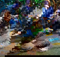 Sydney Taronga Zoo's Australian Animals Tour - Kalgoorlie Accommodation