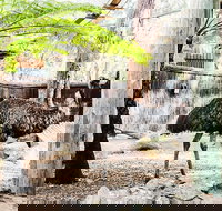 Sydney Taronga Zoo General Entry Ticket and Wild Australia Experience - Kalgoorlie Accommodation