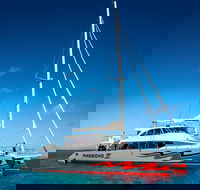 Passions of Paradise Great Barrier Reef Snorkel and Dive Cruise from Cairns by Luxury Catamaran - Kalgoorlie Accommodation