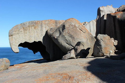 Kangaroo Island Personal Group Tours - Kalgoorlie Accommodation 2