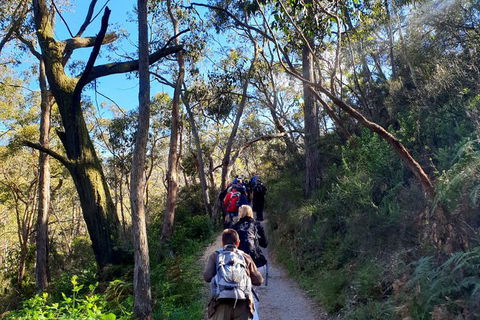 Self-Guided Waterfall Gully To Mount Lofty Hike From Adelaide - Kalgoorlie Accommodation 1