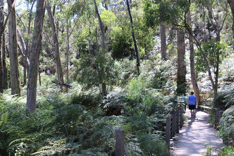 Self-Guided Waterfall Gully To Mount Lofty Hike From Adelaide - Kalgoorlie Accommodation 2