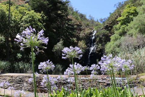 Self-Guided Waterfall Gully To Mount Lofty Hike From Adelaide - Kalgoorlie Accommodation 3