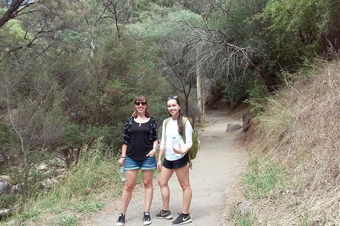 Self-Guided Waterfall Gully To Mount Lofty Hike From Adelaide - Kalgoorlie Accommodation 4