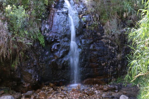 Self-Guided Waterfall Gully To Mount Lofty Hike From Adelaide - Kalgoorlie Accommodation 5
