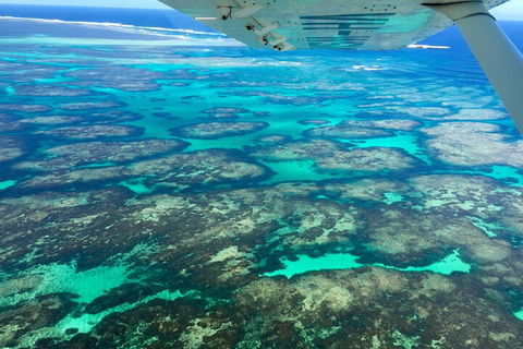 Shipwreck Special Full Day Tour Of The Abrolhos Islands - Kalgoorlie Accommodation 1