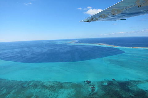 Shipwreck Special Full Day Tour Of The Abrolhos Islands - Kalgoorlie Accommodation 2