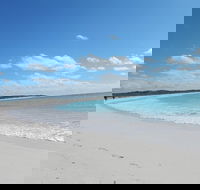 Shipwreck Special Nature Tour/Half Day Tour - Kalgoorlie Accommodation