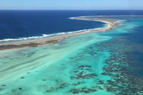 Pink Lake + Abrolhos Islands Nature Tour - Kalgoorlie Accommodation 2