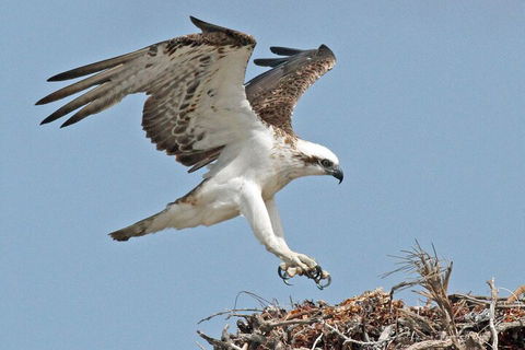 Pink Lake + Abrolhos Islands Nature Tour - Kalgoorlie Accommodation 3