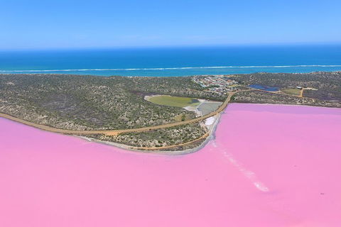 Pink Lake + Abrolhos Islands Nature Tour - Kalgoorlie Accommodation 4