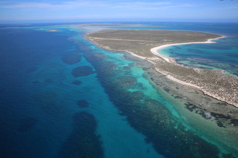 Pink Lake + Abrolhos Islands Scenic Flight - Kalgoorlie Accommodation 0