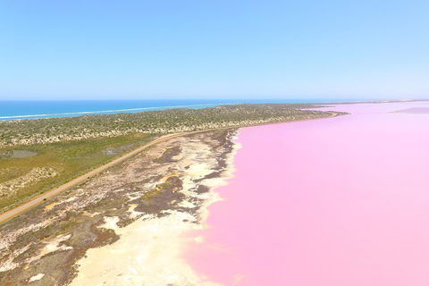 Pink Lake + Abrolhos Islands Scenic Flight - Kalgoorlie Accommodation 4